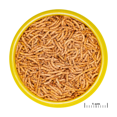JBL PRONOVO RED INSECT STICK S 20ml